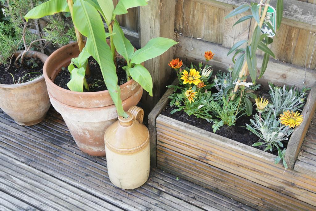 Shoreditch 1 With Garden لندن الغرفة الصورة