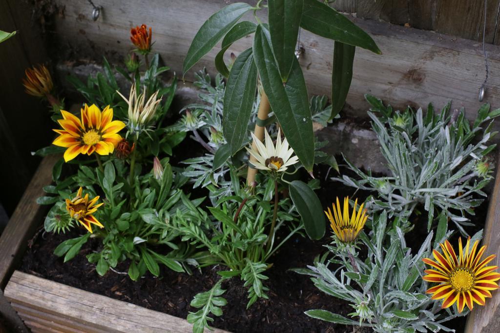 Shoreditch 1 With Garden لندن الغرفة الصورة