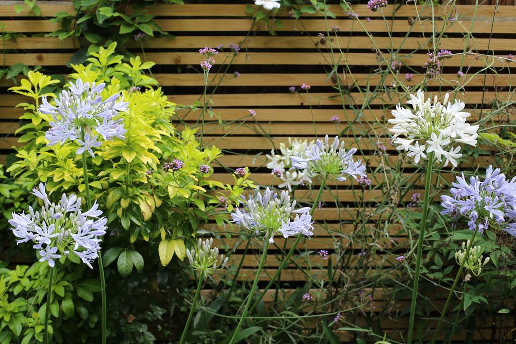 Shoreditch 1 With Garden لندن الغرفة الصورة